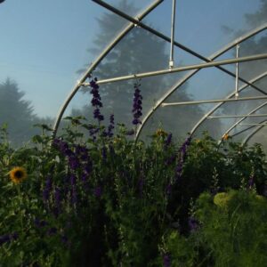 800 gauge Clear Polyagri Film
